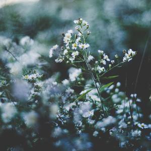 色综合视频在线
